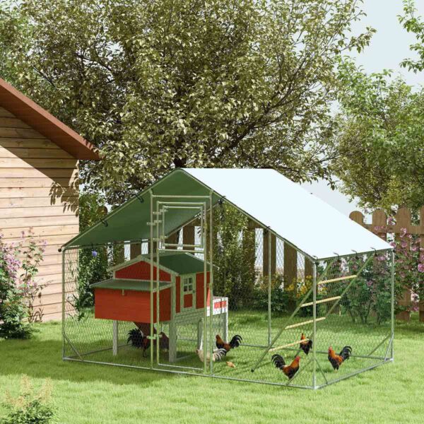 Walk-In Chicken Run with Cover, Hanging Feeder & Perch (6–8 Poultry) - Image 2