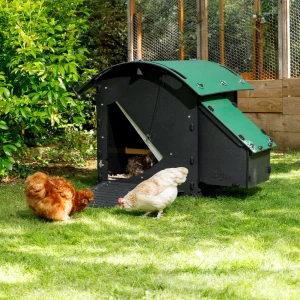 Nestera Chicken Coop