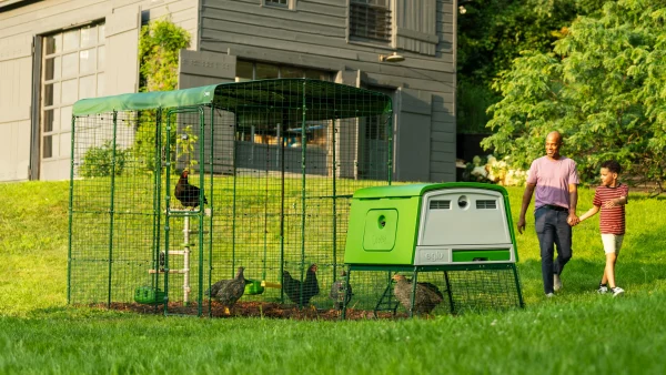 Omlet Eglu Cube Large Chicken Coop with Run - Image 2