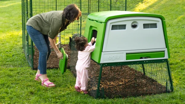 Omlet Eglu Cube Large Chicken Coop with Run - Image 3
