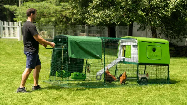 Omlet Eglu Cube Large Chicken Coop with Run - Image 4