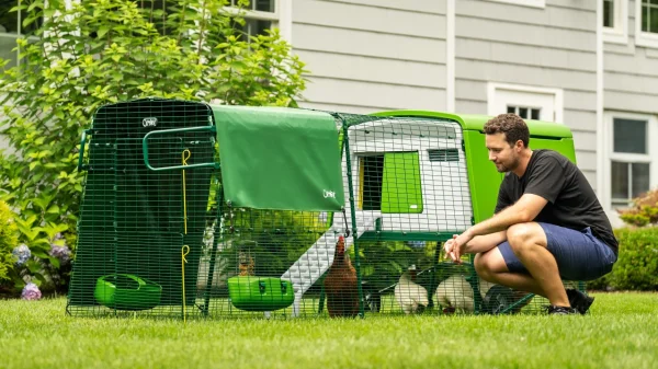 Omlet Eglu Cube Large Chicken Coop with Run - Image 8