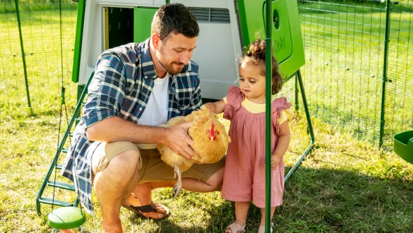 Omlet Eglu Cube Large Chicken Coop with Run - Image 6