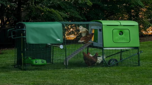 Omlet Eglu Cube Large Chicken Coop with Run